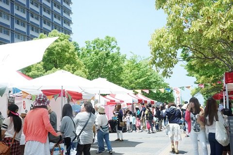 たくさんの人と触れ合える楽しい雰囲気