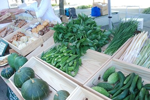 旬の野菜やフルーツなどを扱うショップ