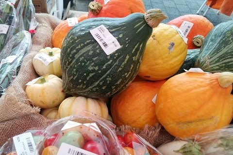 県産の魅力的な食材と出会えるかも？
