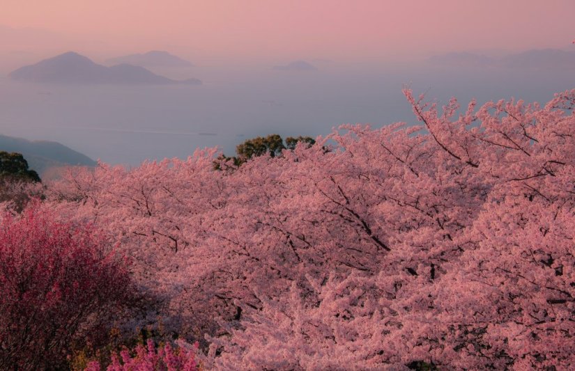 紫雲出山