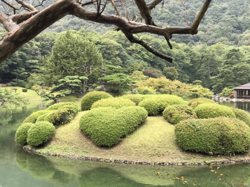 栗林公園 ツツジ
