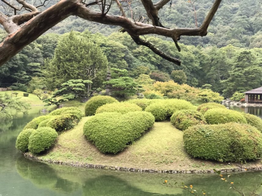栗林公園 ツツジ
