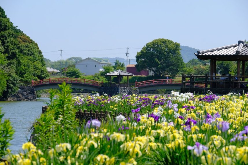 亀鶴公園