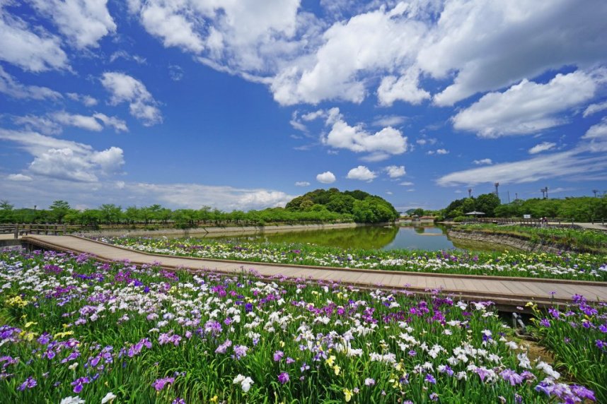 亀鶴公園