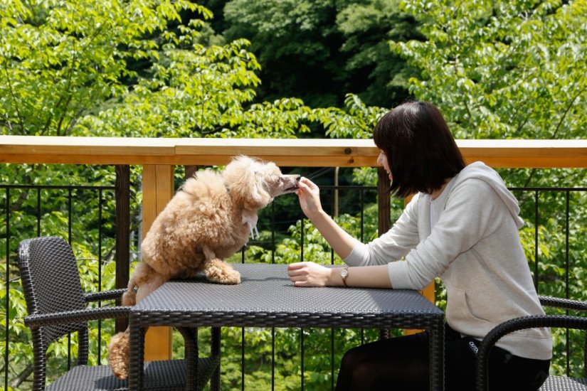 テラスでワンちゃんと戯れながら時を過ごす