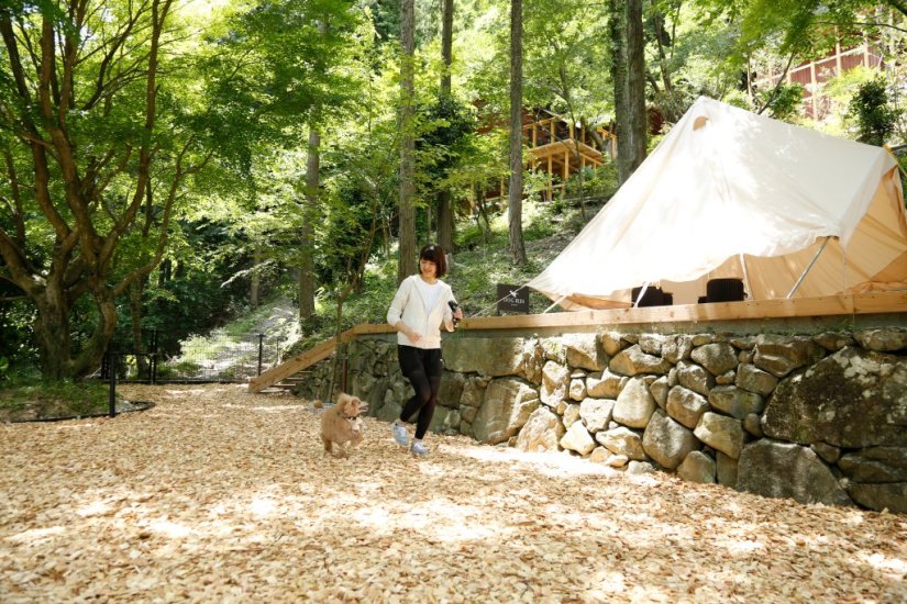 木のチップを敷き詰めたドッグラン