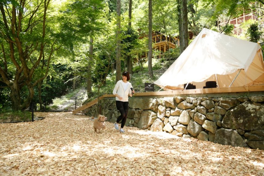 木のチップを敷き詰めたドッグラン