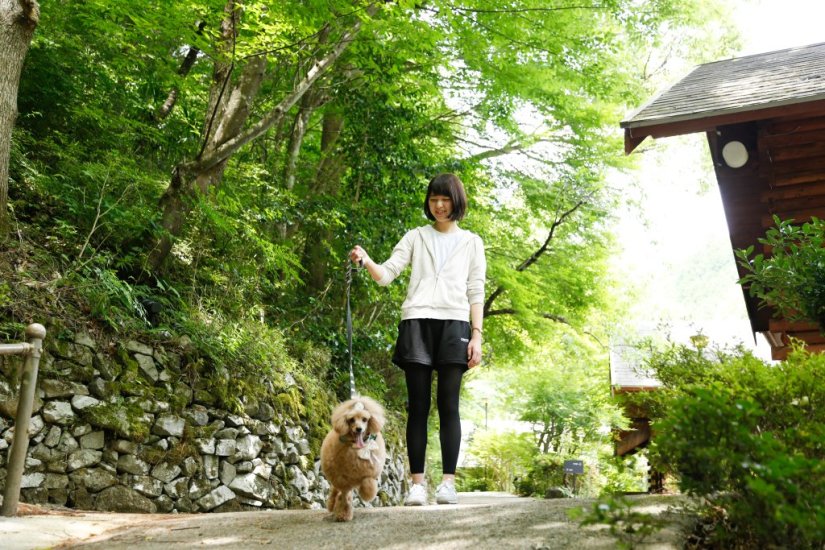 ヒュッテの小径でワンちゃんとお散歩も
