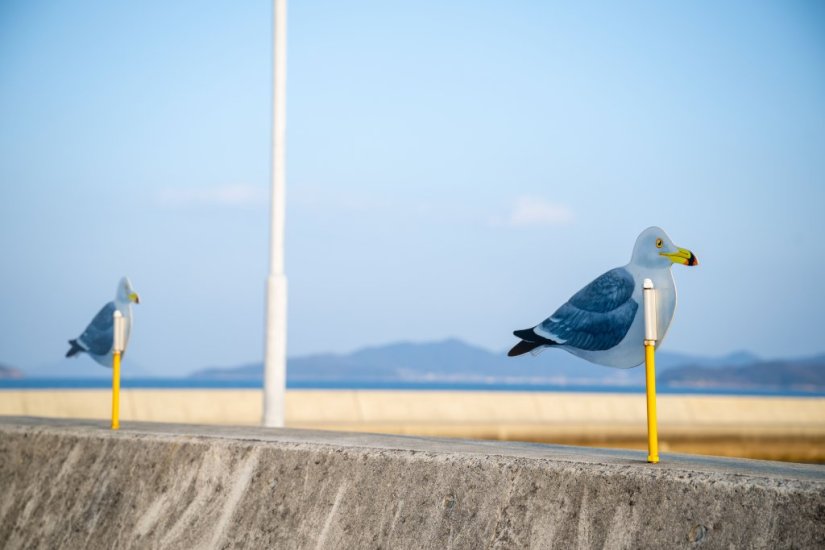 瀬戸内国際芸術祭作品　木村崇人「カモメの駐車場」