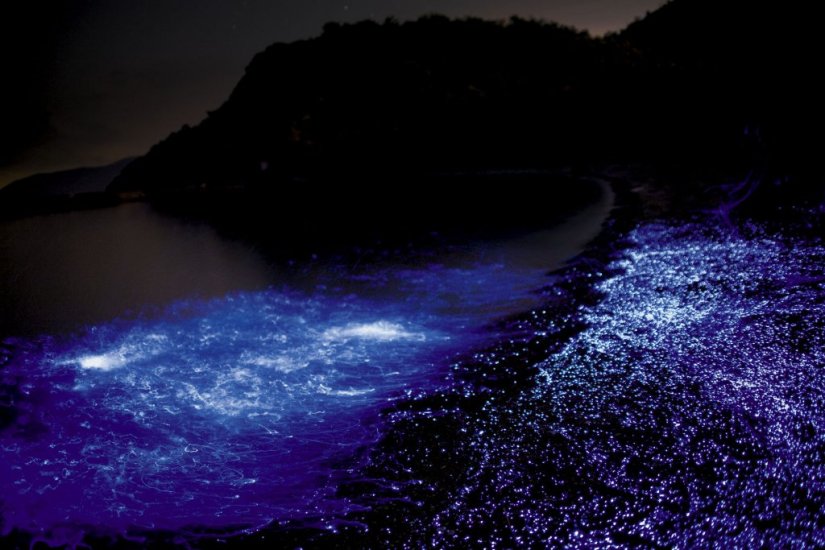 幻想的な海ほたるのショーを鑑賞しよう！（写真提供：三豊市）