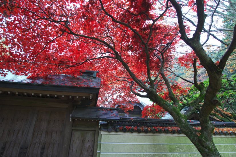 色とりどりの紅葉が映える名所