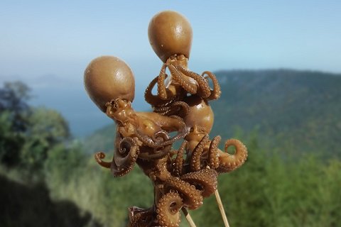 イイダコおでん