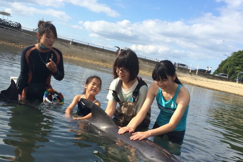 間近でイルカを見て、触って、そして感じることができる！