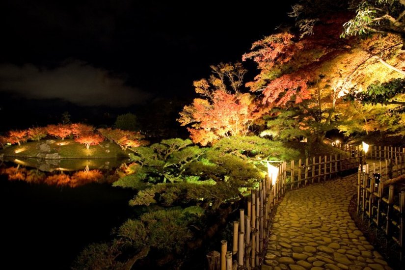 静寂の夜に見る紅葉は別世界