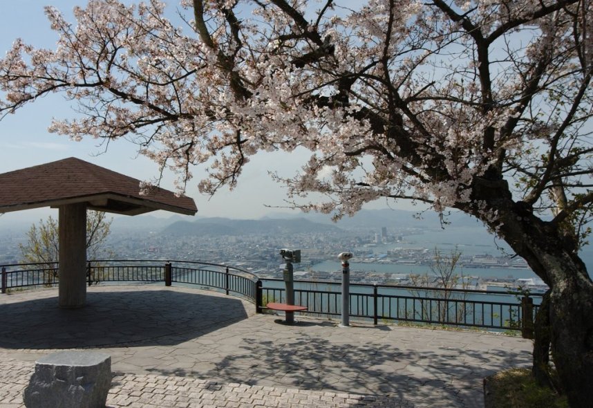 春には桜も楽しめる