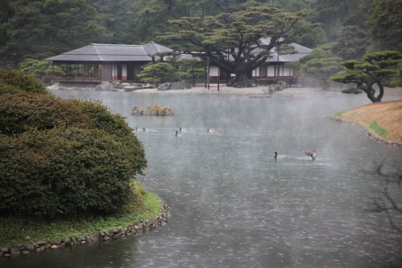 幻想的な朝もやが漂う栗林公園内