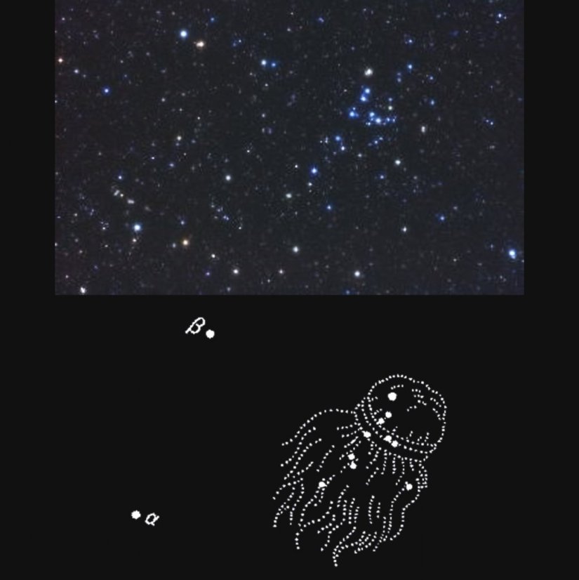 季節に見える星座 天体望遠鏡博物館 特集 香川県観光協会公式サイト うどん県旅ネット