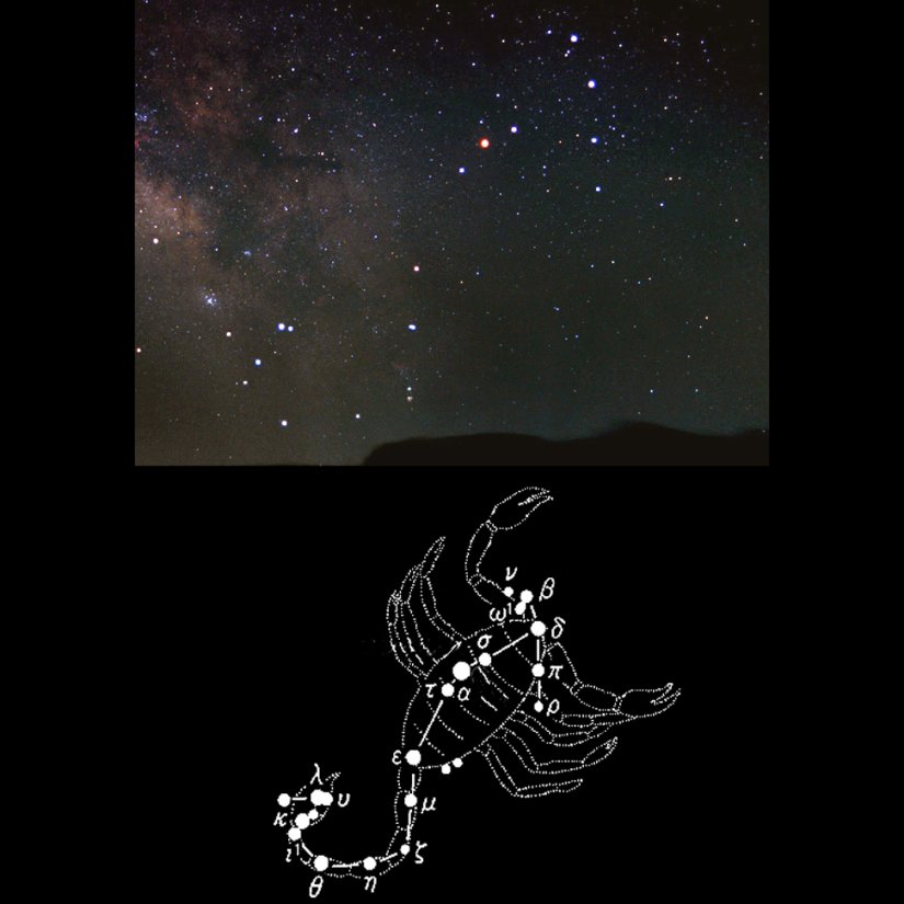季節に見える星座 天体望遠鏡博物館 特集 香川県観光協会公式サイト うどん県旅ネット