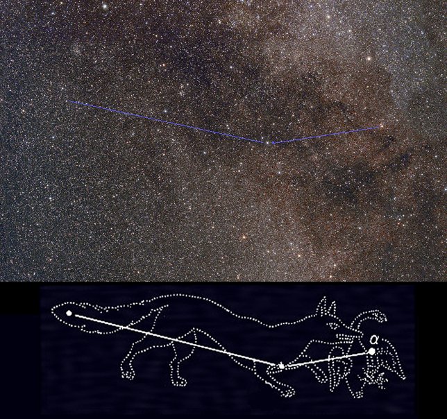 【こぎつね座】はくちょう座のすぐ南に、獲物をくわえた子狐がいますが、星の並びからその形をたどることは少し難しいです。