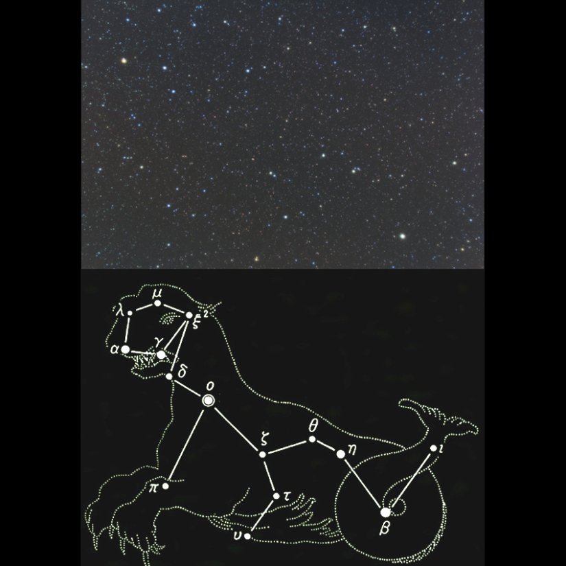季節に見える星座 天体望遠鏡博物館 特集 香川県観光協会公式サイト うどん県旅ネット
