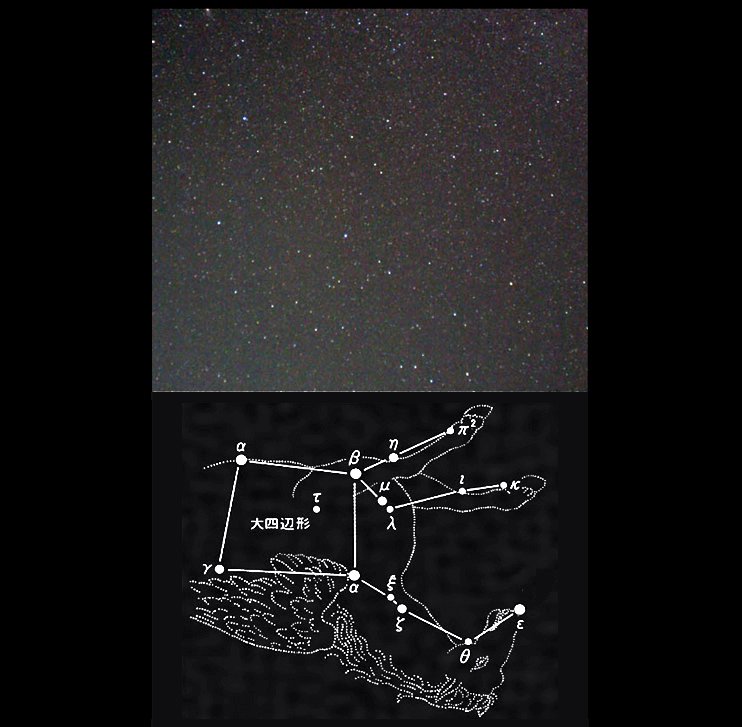 【ペガスス座】逆さまに夜空を駆ける、翼をもった天馬ペガススの上半身です。大きな四辺形が目印となります。