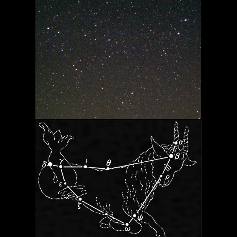 【やぎ座】上半身は山羊ですが、後ろ足の部分は魚の尾という風変わりな山羊です。南の空低くにある逆三角形探し出しましょう。