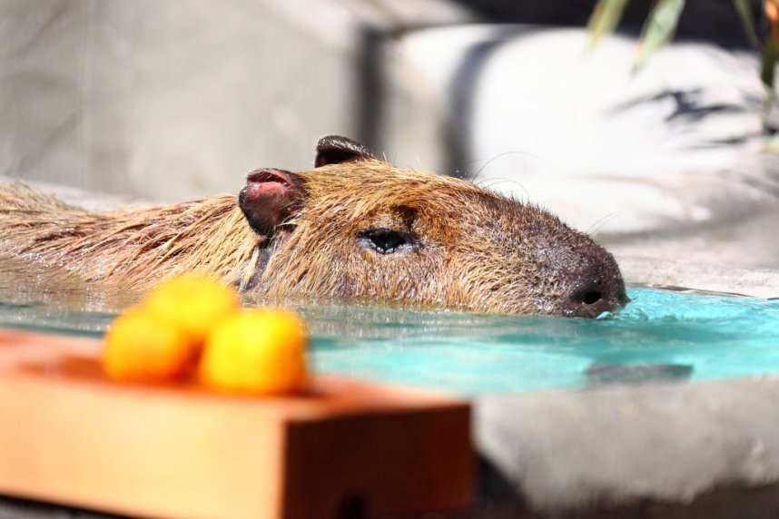 温泉での～んびり