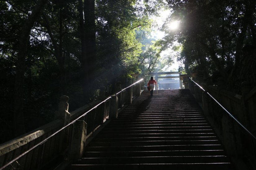 「一生に一度はこんぴら参り」と言われ、昔から人々に親しまれてきた