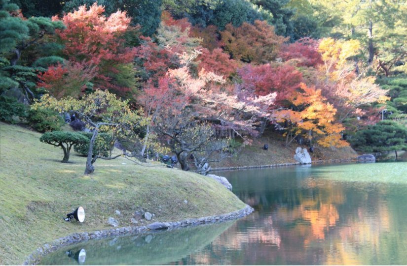 紅葉が湖面を色鮮やかに染めます