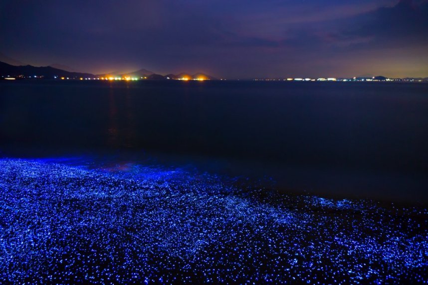 海ほたる
