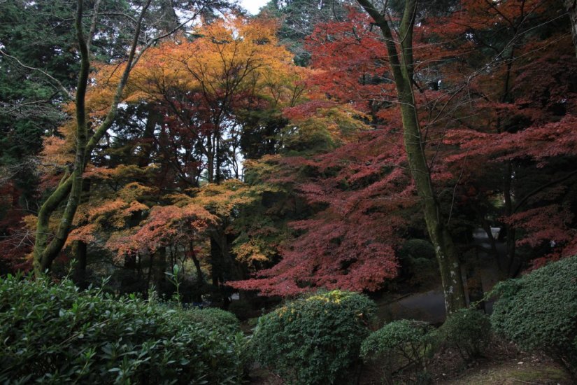 喧騒を離れ、静けさの中で紅葉を楽しむことができる