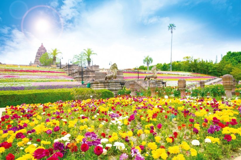 広大な敷地で季節の花々をお楽しみいただけます
