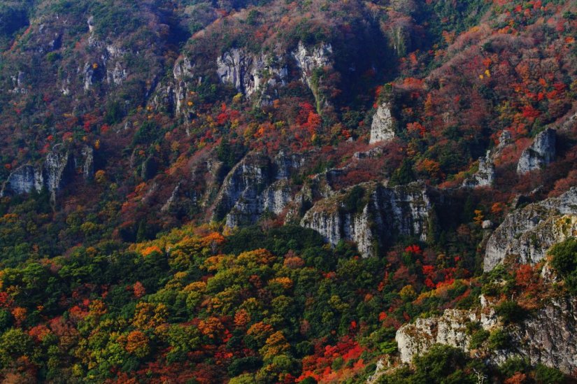 岩肌と紅葉のコントラストが美しい
