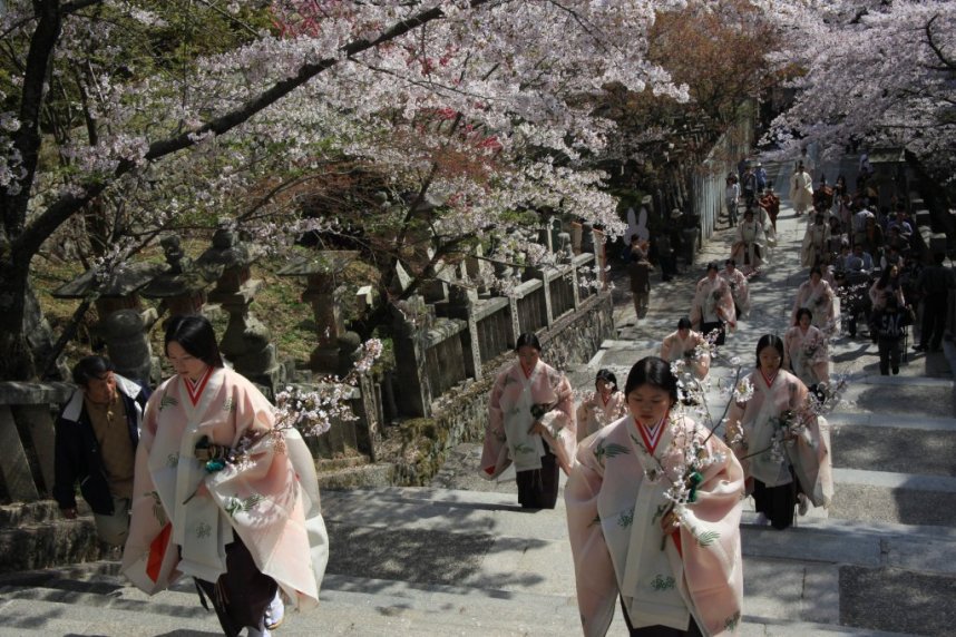4月10日の桜花祭、可憐な巫女の行列に心も弾む
