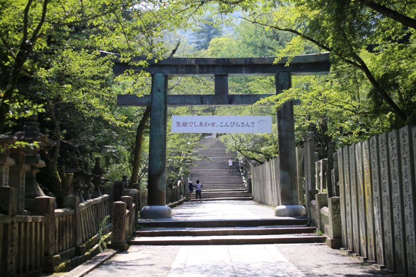 夏の新緑も鮮やかで心癒される