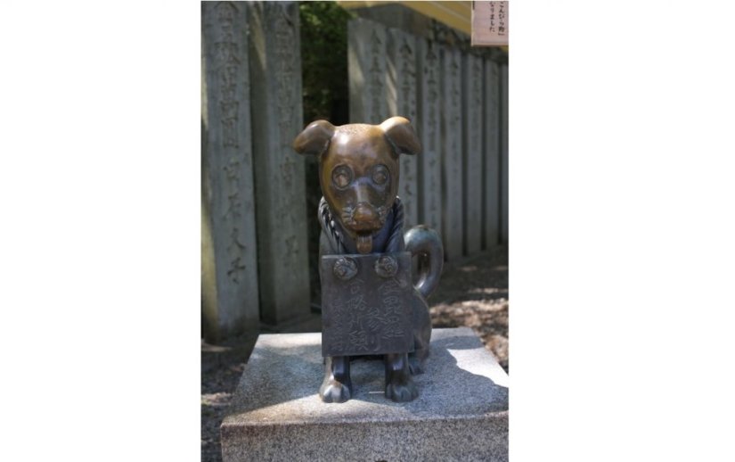 飼い主の代参をしたと伝えられる「こんぴら狗」