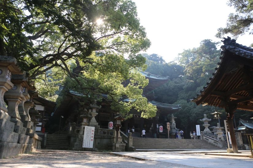 荘厳な建物を見て、ここを御本宮と間違える参拝客もいるほど