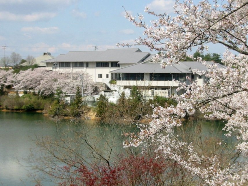 春にはソメイヨシノを中心に約3000本の桜が楽しめる
