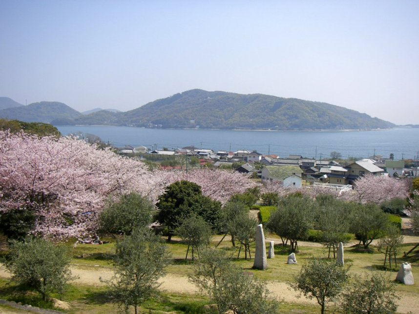 瀬戸内海を見下ろす小高い丘に広がる桜並木