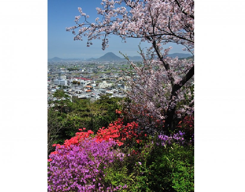 山頂の展望台からは金刀比羅宮や丸亀平野、讃岐富士などを眺望できる