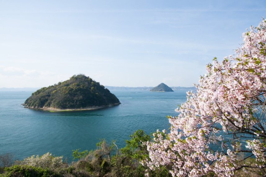 坂出市王越からの大槌小槌、春には桜との共演も