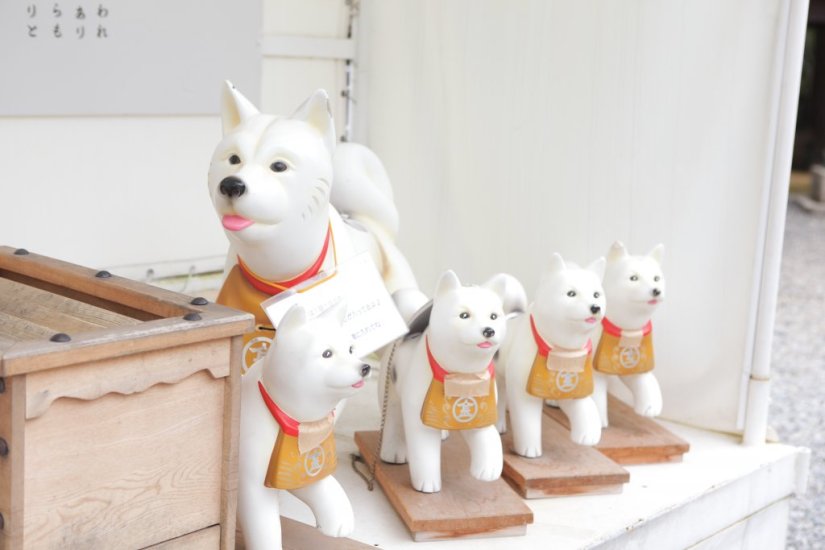 こんぴら狗の背中の穴からおみくじをひいて運だめし