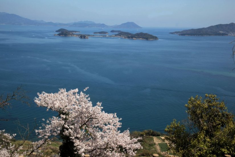 展望台からの風景