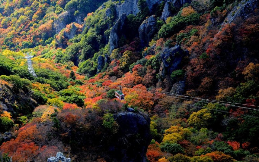 渓谷美と紅葉のコラボレーションはまさに絶景