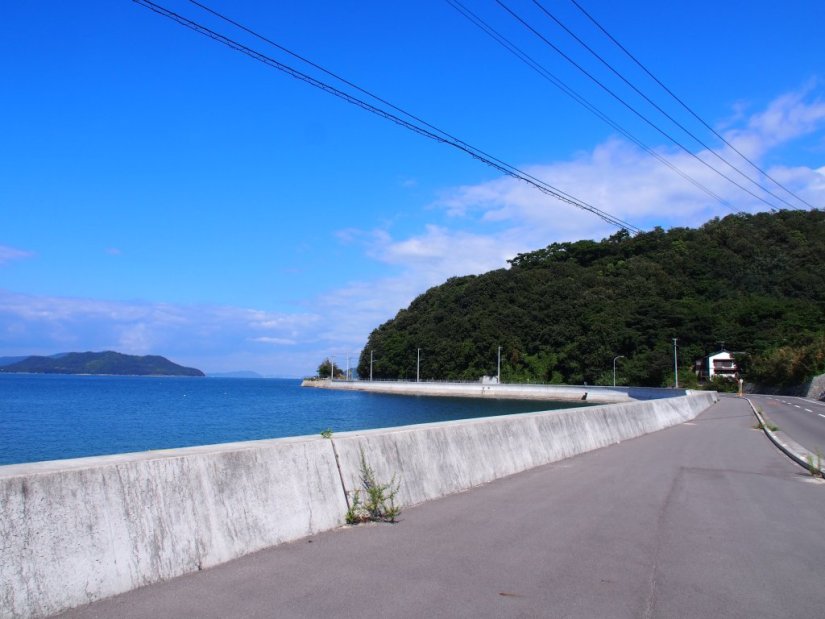 海沿いの道路を行くのはとても清々しい