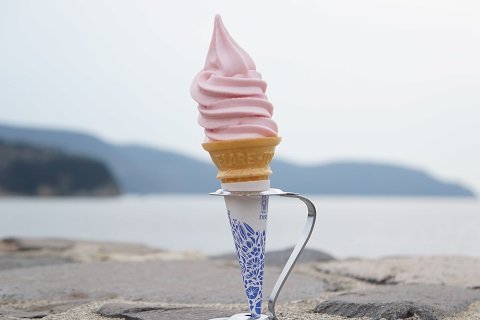すももの味がそのままソフトに！