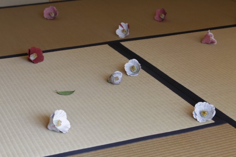 家プロジェクト「碁会所」 須田悦弘＂碁会所＂  写真：渡邉修