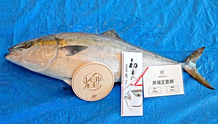 第１号に認定されたブリには、「煌」認定の証として石川県産材の能登ヒバ（アテの木）の認定プレートが添えられた。