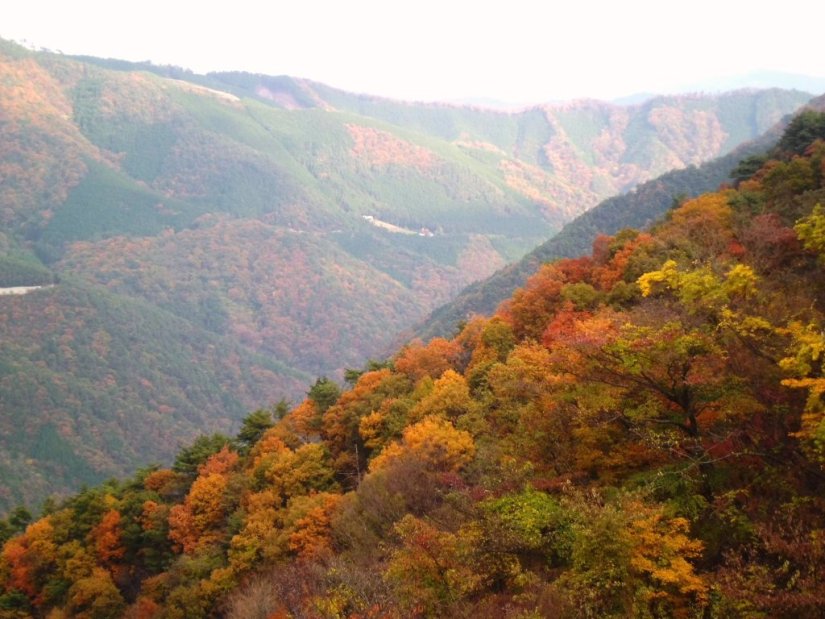 「高松の奥座敷」として親しまれている温泉郷