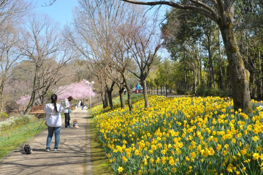 季節ごとに美しい花々が楽しめる広大な公園